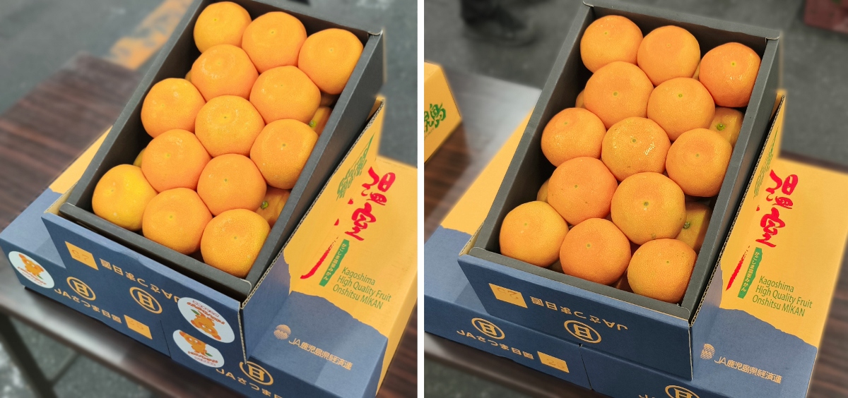 JAさつま日置「ハウスみかん」初出荷式が開催されました